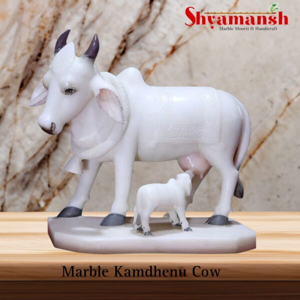 Kamdhanu Cow - Image 2