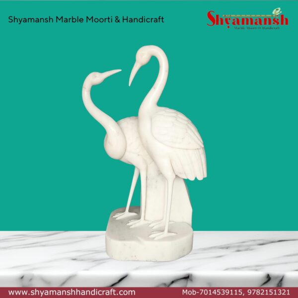 Swan