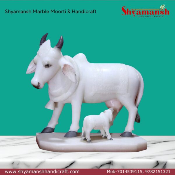 Kamdhanu Cow